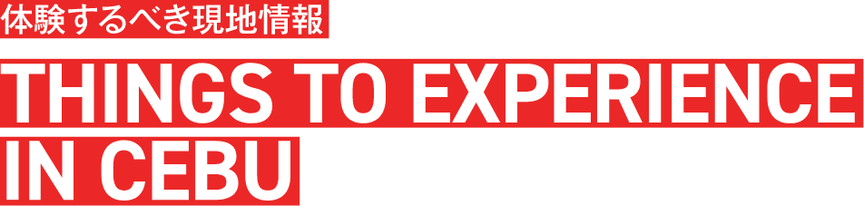 体験するべき現地情報