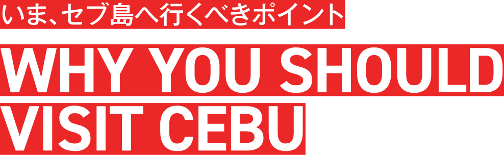 いま、セブ島へ行くべきポイント